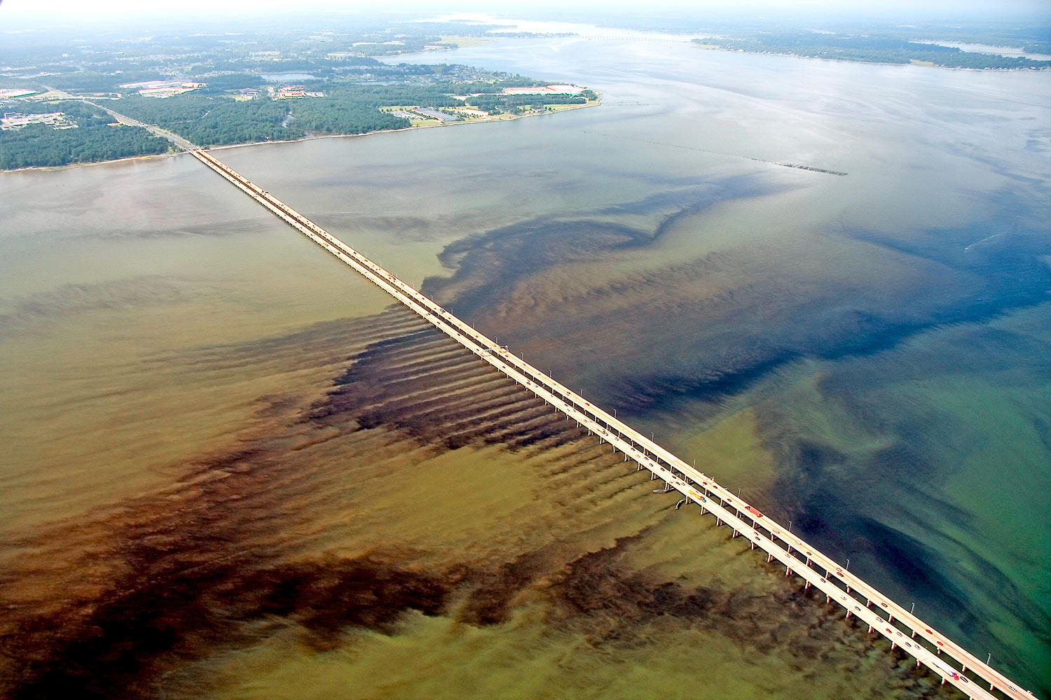 Chesapeake Bay